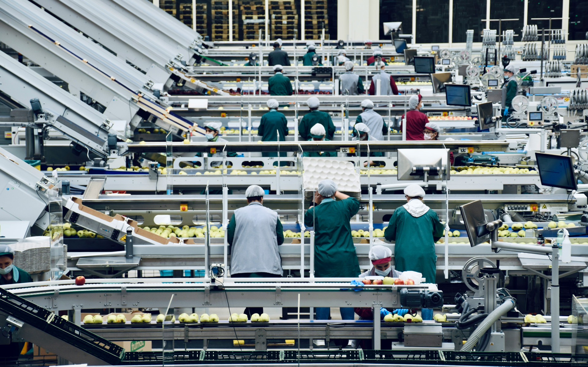 Fabricación de muelles para el sector Alimentario